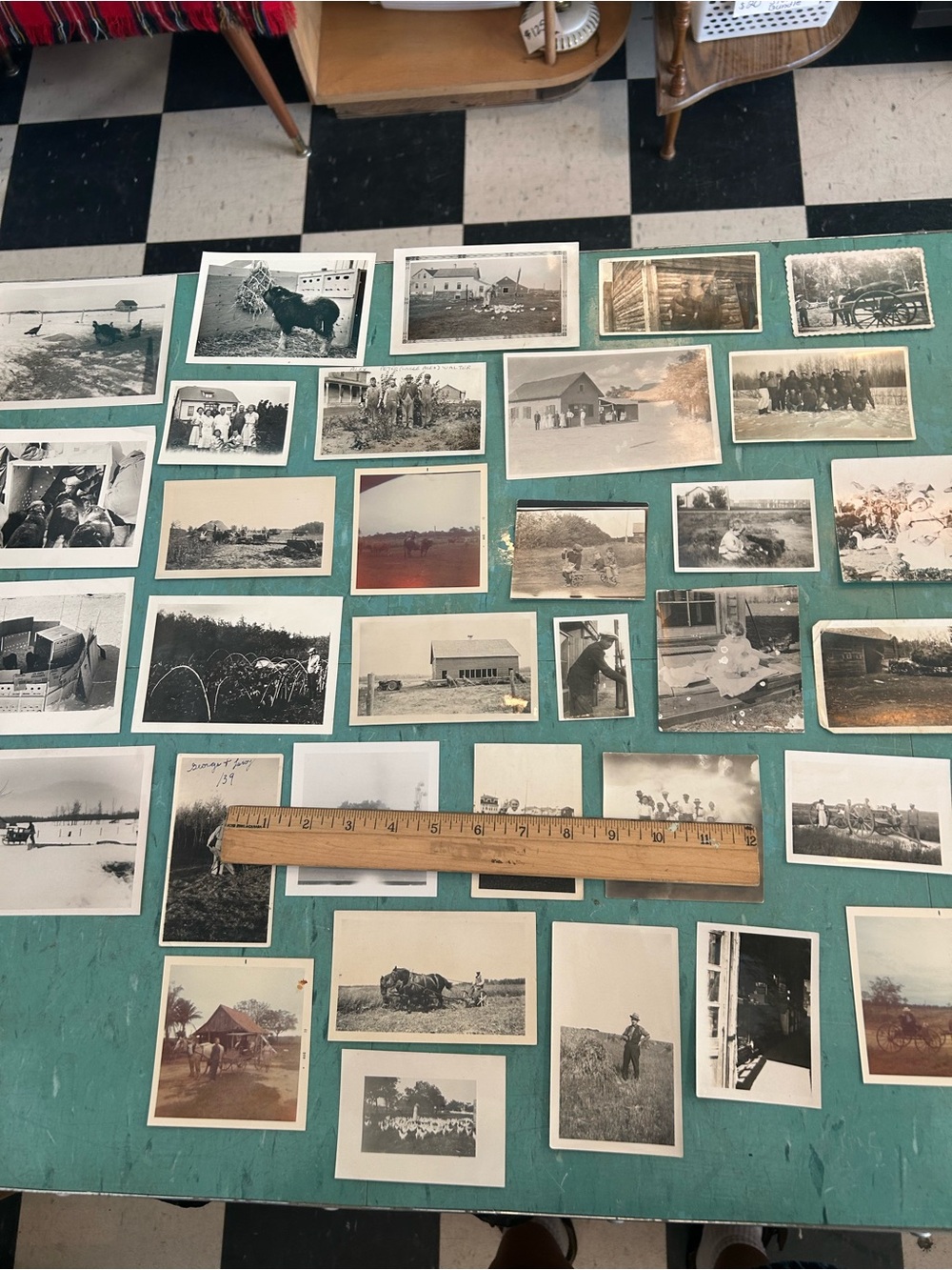 46 black white vintage farm photos animals farmers 1920’s - 1940’s ephemera - Picture 13 of 13